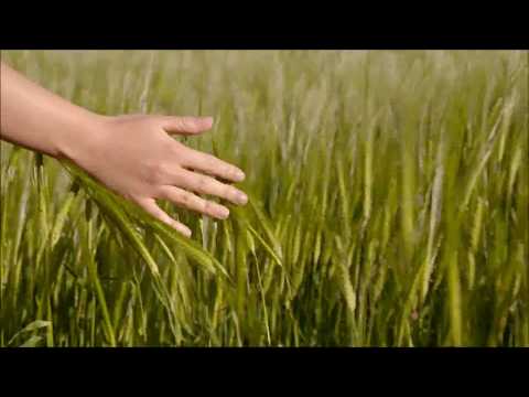 Domokos Tony – Távolság 🎵 💫 🚷 👫