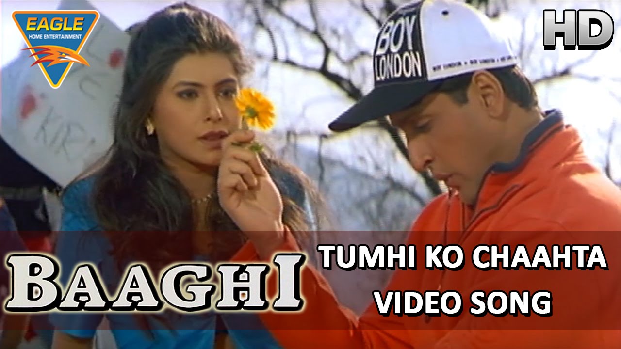 Tumhi Ko Chahta Hai Dil Lyrics  | Baagi | Kavita Krishnamurthy, Kumar Sanu | Sajid-Wajid