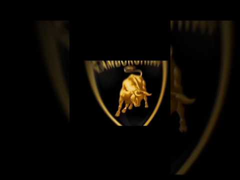 Lamborghini vs Koenigsegg vs Bugatti vs Ferrari