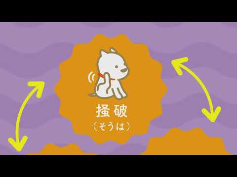 犬のかゆみの治療法