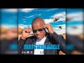Matswakabele Verbal Slayerr Ft Phologolo