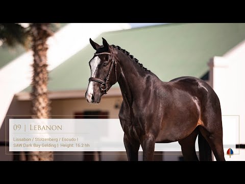 Lot 09 Callaho Lebanon (Lissabon/Stolzenberg/Escudo I)