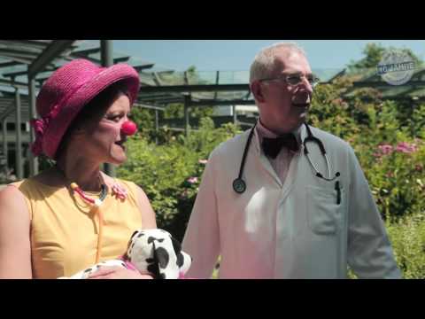 Der Blaue Kalligraph: Innung des Kfz-Handwerks Worms