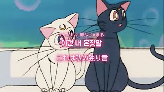 守ってあげたい君へ:지켜줄게(See You Again) - 백예린(Yerin Baek)[日本語字幕/和訳]