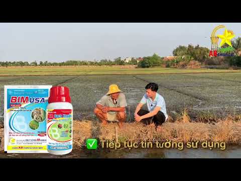 🌼🌼🌼AB CHEMICAL CÙNG QUÝ NHÀ NÔNG CUNG CHÚC TÂN XUÂN BÍNH NGỌ 2026
