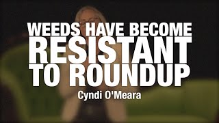 Weeds Have Become Resistant to Roundup (Glyphosate) - Cyndi O