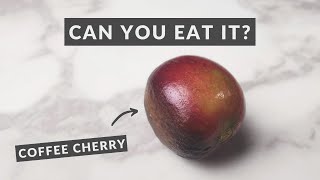 Is Coffee Really a Fruit?