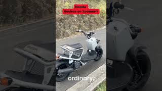 Download lagu Honda Ruckus or Zoomer NPS50  #honda mp3