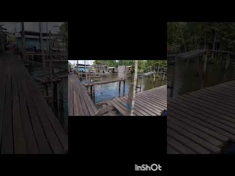 Jaçuana São Sebastião da Boa Vista Marajó Pará Brasil.