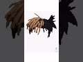 Guess The Rapper By Their Hairstyle (IMPOSSIBLE EDITION)