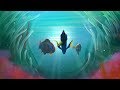 Finding Dory Soundtrack Main Title Music Extended Version Beautiful Underwater Scenery