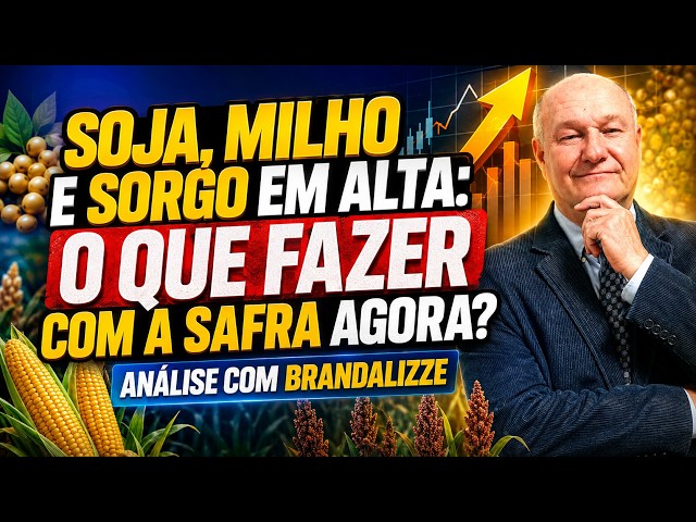 SOJA, MILHO e SORGO em ALTA: O Que Fazer com a Safra Agora? Análise com Brandalizze.