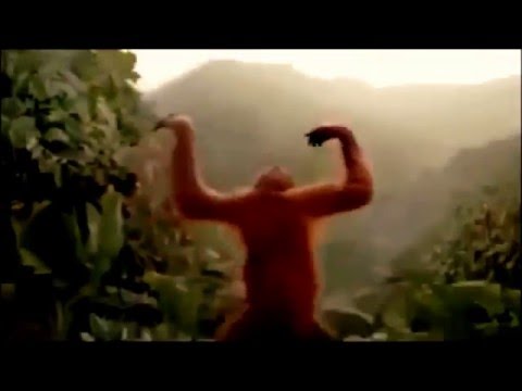 Hoch die Hände Wochenende