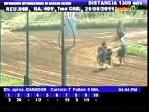 Resumen Lunes, 29 de Agosto de 2011 - Rancho Alegre