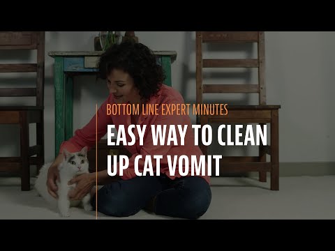 Easy Way to Clean Up Cat Vomit