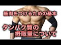 筋肉をつけるためにタンパク質は1日にどれくらい必要?タンパク質を含む食品と摂取タイミング【筋トレ】