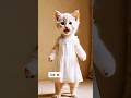 White Cat dance 😻🤍 | #cat #lovecats #cats #catvideos #kittens #catlover #princesscat #kitten 57 - Dancing Cat White Cat dance 😻🤍 | #cat #lovecats #cats #catvideos #kittens #catlover #princesscat #kitten 57