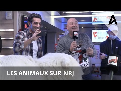 Essaï débarque chez Cauet sur NRJ avec ses animaux