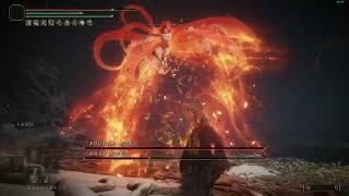 Re: [法環] 設計最好/最爛的多人boss分別是哪組