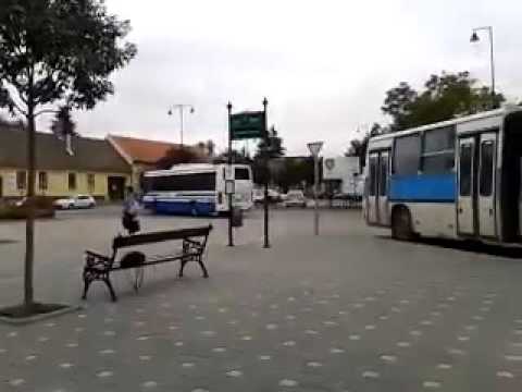 Bajai busz  videok / 6