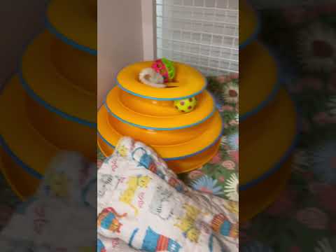 Conrad’s transformation.