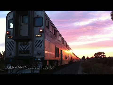 Tin Sparrow - For You