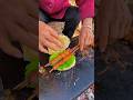 Chinese Burger Grandma Roasted Lamb For Grandpa To Eat