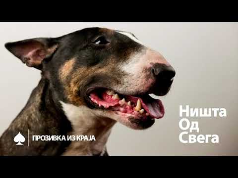 Prozivka Iz Kraja - Rep, kokoške i leševi (2010)