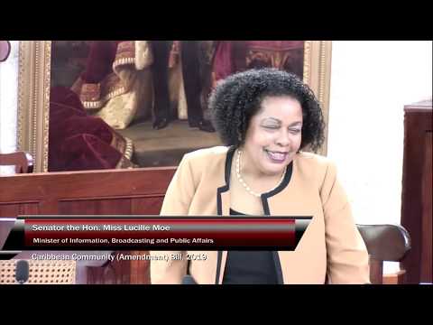 The 17th Sitting Of The Honourable The Senate - Wednesday 6th March 2019: Part 2