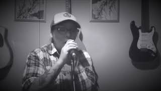 Dwight Yoakam - 1000 Miles of Misery (Cover) Terri Anne Strongarm