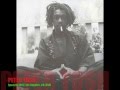 Peter Tosh Speech, 1982, "...calculate your judgement"