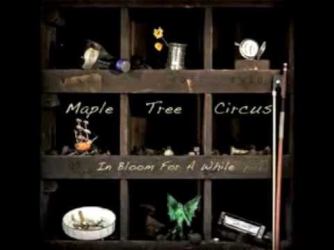 Maple Tree Circus - The Flying Dutchman