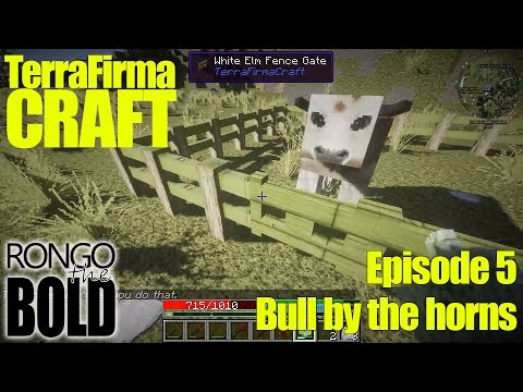 TerraFirma Craft | Season 1 | Episode 5 | Bull by the horns