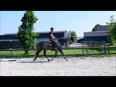 SOLD!     Lord Leatherdale x DeNiro