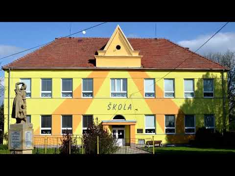 GLAVNI GRAD MAURITANIJE, MIROLJUB PETROVIĆ