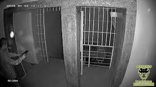 Multiple Home Invaders Stopped By Armed Defender