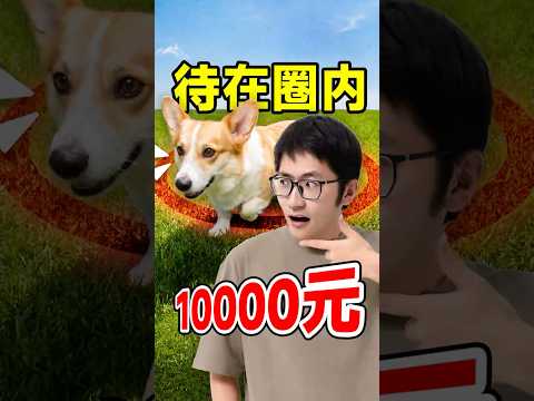 狗狗走出圈，失去1万元...