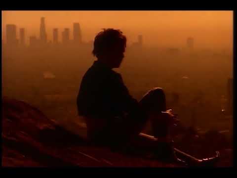 Bonne année 2019 à tous. Buzy