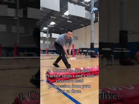 DOLPHIN VOLLEYBALL DIVE TUTORIAL