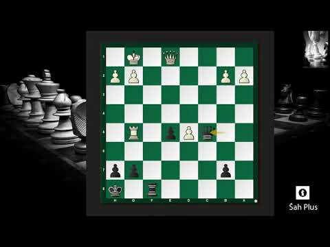 Šah i Šahovska taktika - Najvažnije Šahovske Pozicije i Ideje Ep.49