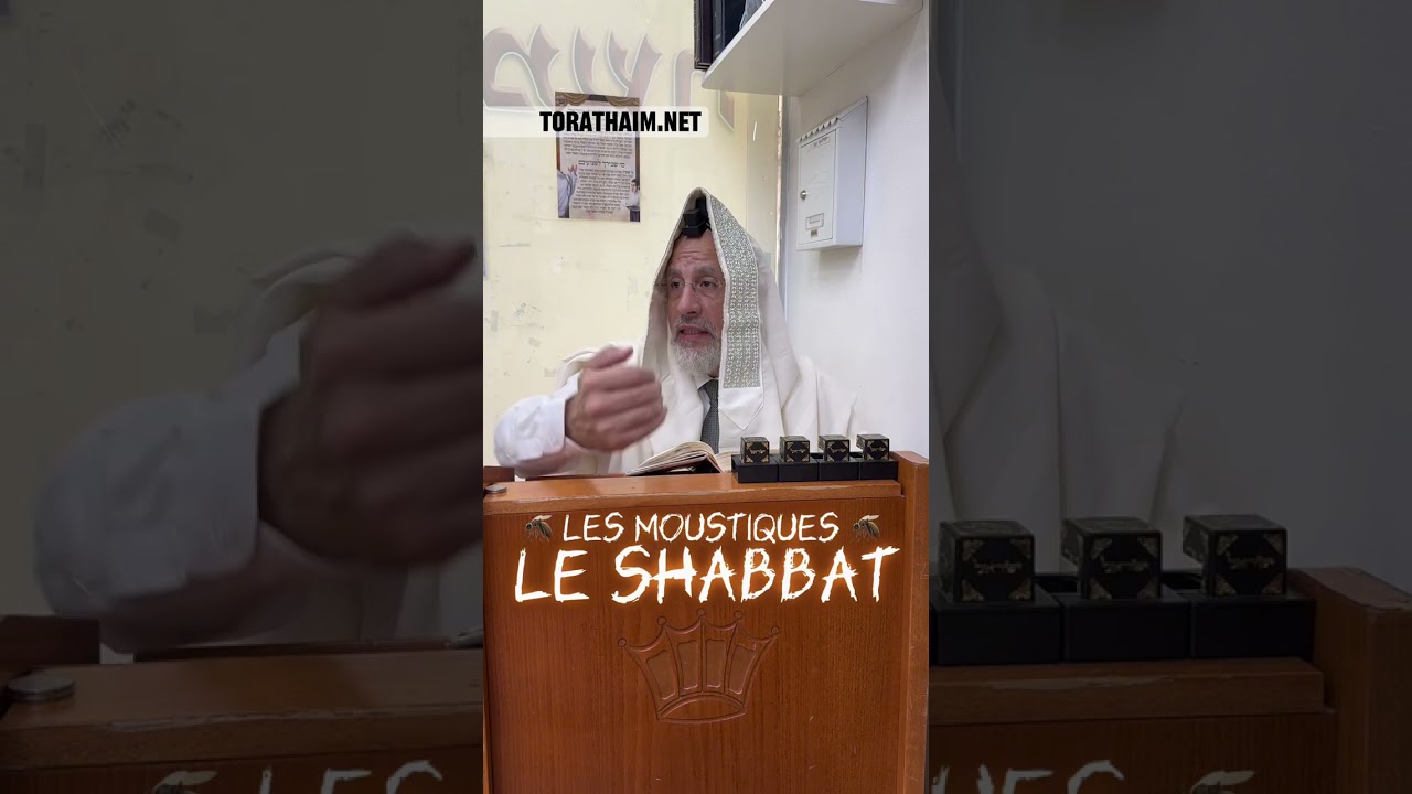 Les moustiques 🦟 pendant Shabbat ! L’été approche… comment réagir ?