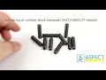Відео огляд Пружина блоку циліндрів Kawasaki YT10V00003S157 Handok