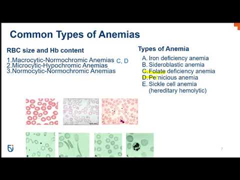 Hematologic Disorders of Red Blood Cells