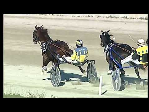 Napoli Trotto 14/01/2022 - 3ª corsa