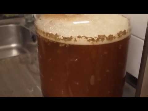 download lagu mp3 mp4 Windsor Ale Yeast Reviews, download lagu Windsor Ale Yeast Reviews gratis, unduh video klip Windsor Ale Yeast Reviews