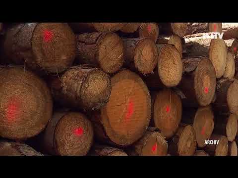 Kurznachrichten... - 23.07.2019