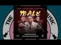 Lombizo - Ndatola Male (Male Challenge) (Official Audio Music)