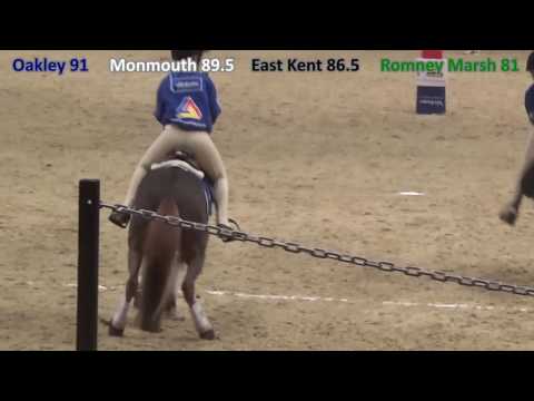 HOYS 2016 Prince Philip Cup Mounted Games Final Oakley Hunt West