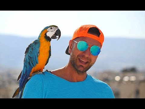 M.JAY - Pokażę Ci pokażę (2016 Official Video)