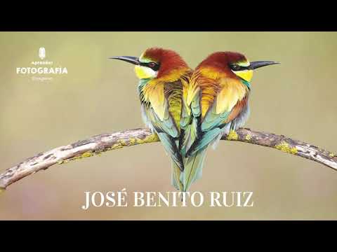 #267 José Benito Ruiz
